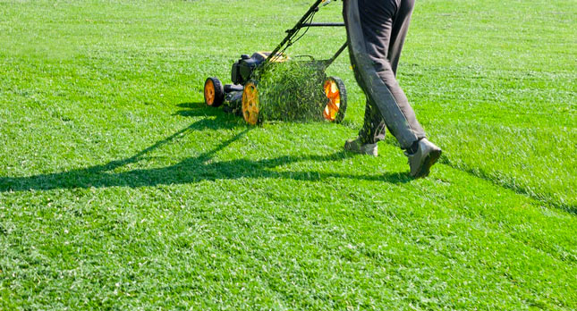 Lawn Mowing Service